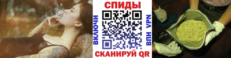 Бутират буратино  Пугачёв 