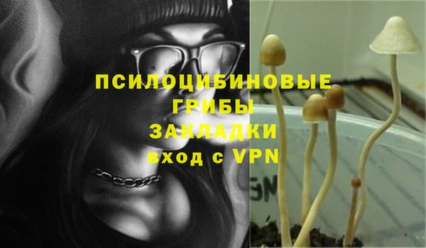 гидропоника Алексеевка