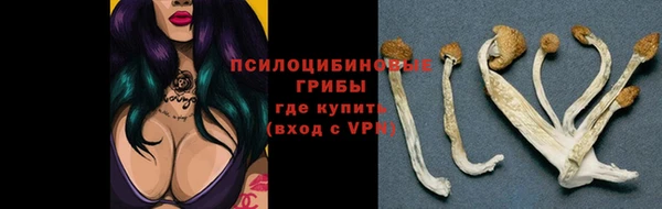 хмурый Саяногорск