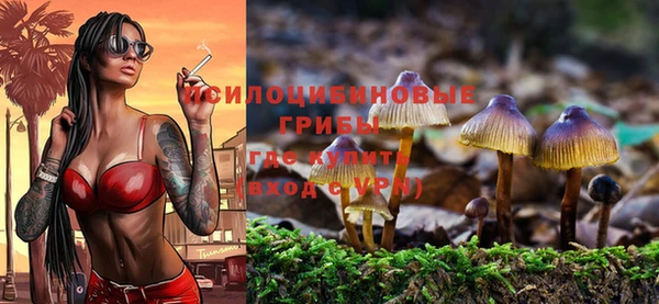 гидропоника Алексеевка
