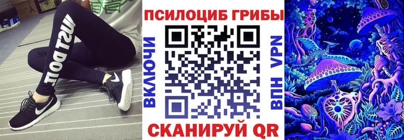 где найти наркотики  Пугачёв  shop наркотические препараты  Галлюциногенные грибы MAGIC MUSHROOMS 